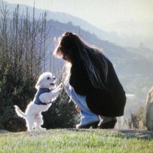 Meet your Posher, Dianne